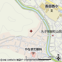 静岡県静岡市駿河区丸子芹が谷町13周辺の地図