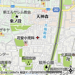 京都府向日市鶏冠井町荒内周辺の地図