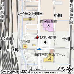 京都府向日市鶏冠井町十相周辺の地図