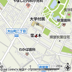 愛知県安城市安城町栗ノ木周辺の地図