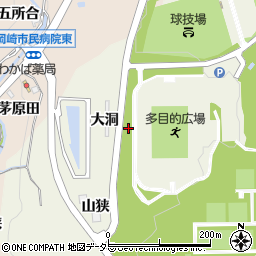 愛知県岡崎市洞町大洞周辺の地図