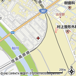 滋賀県甲賀市水口町虫生野虹の町46周辺の地図