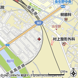 滋賀県甲賀市水口町虫生野虹の町9周辺の地図