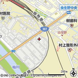 滋賀県甲賀市水口町虫生野虹の町13周辺の地図