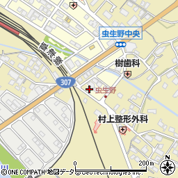 滋賀県甲賀市水口町虫生野中央203周辺の地図