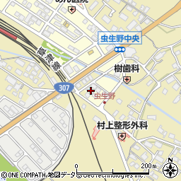 滋賀県甲賀市水口町虫生野中央208周辺の地図