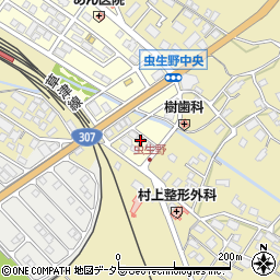 滋賀県甲賀市水口町虫生野中央211周辺の地図
