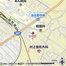 滋賀県甲賀市水口町虫生野中央219周辺の地図