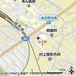 滋賀県甲賀市水口町虫生野中央210周辺の地図