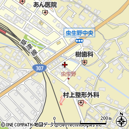 滋賀県甲賀市水口町虫生野中央215周辺の地図