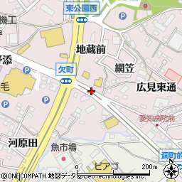 愛知県岡崎市欠町（網笠）周辺の地図