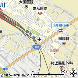 滋賀県甲賀市水口町虫生野中央164周辺の地図