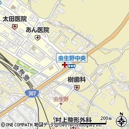 滋賀県甲賀市水口町虫生野中央183周辺の地図