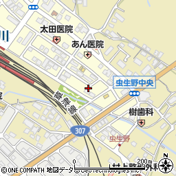 滋賀県甲賀市水口町虫生野中央152周辺の地図