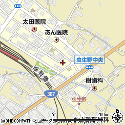滋賀県甲賀市水口町虫生野中央153周辺の地図