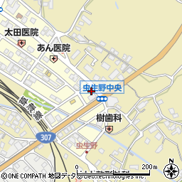 滋賀県甲賀市水口町虫生野中央182周辺の地図