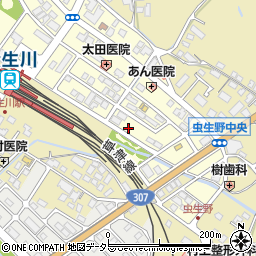 滋賀県甲賀市水口町虫生野中央157周辺の地図