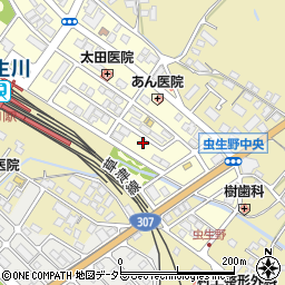滋賀県甲賀市水口町虫生野中央149周辺の地図