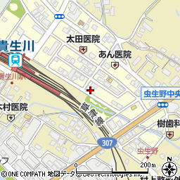 滋賀県甲賀市水口町虫生野中央159周辺の地図