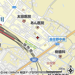 滋賀県甲賀市水口町虫生野中央141周辺の地図