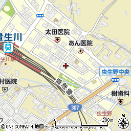 滋賀県甲賀市水口町虫生野中央147周辺の地図