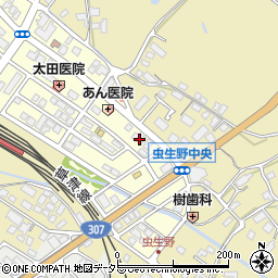 滋賀県甲賀市水口町虫生野中央123周辺の地図