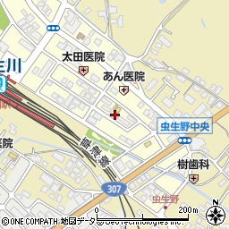 滋賀県甲賀市水口町虫生野中央142周辺の地図