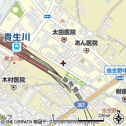 滋賀県甲賀市水口町虫生野中央59周辺の地図