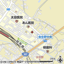 滋賀県甲賀市水口町虫生野中央130周辺の地図