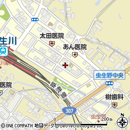 滋賀県甲賀市水口町虫生野中央143周辺の地図
