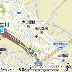 滋賀県甲賀市水口町虫生野中央138周辺の地図