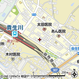 滋賀県甲賀市水口町虫生野中央62周辺の地図
