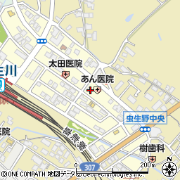 滋賀県甲賀市水口町虫生野中央135周辺の地図