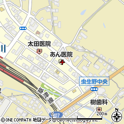 滋賀県甲賀市水口町虫生野中央119周辺の地図