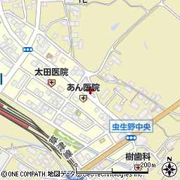 滋賀県甲賀市水口町虫生野中央115周辺の地図