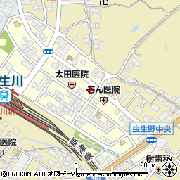 滋賀県甲賀市水口町虫生野中央95周辺の地図