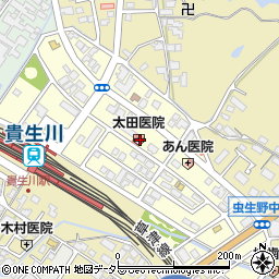 滋賀県甲賀市水口町虫生野中央81-2周辺の地図