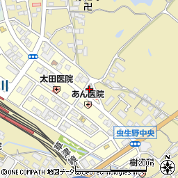 滋賀県甲賀市水口町虫生野中央114周辺の地図