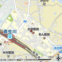滋賀県甲賀市水口町虫生野中央81周辺の地図