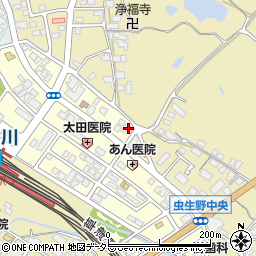 滋賀県甲賀市水口町虫生野中央111周辺の地図