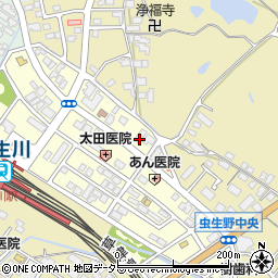 滋賀県甲賀市水口町虫生野中央98周辺の地図