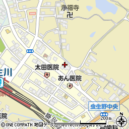 滋賀県甲賀市水口町虫生野中央110周辺の地図