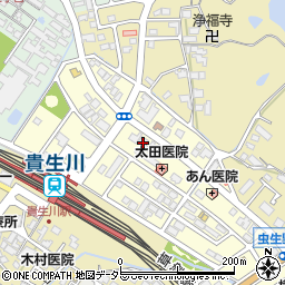 滋賀県甲賀市水口町虫生野中央89周辺の地図
