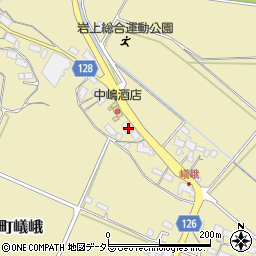 滋賀県甲賀市水口町嶬峨782周辺の地図