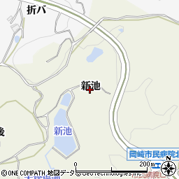 愛知県岡崎市洞町新池周辺の地図