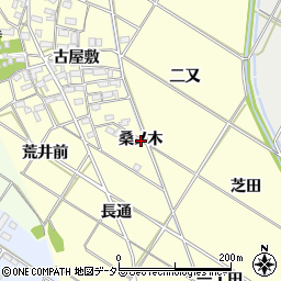 愛知県岡崎市東本郷町桑ノ木周辺の地図