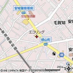 華龍 安城店周辺の地図