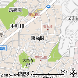 愛知県岡崎市中町東丸根119周辺の地図