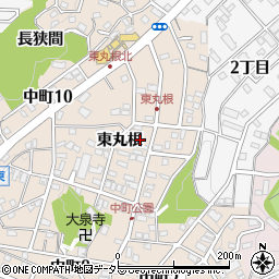 愛知県岡崎市中町東丸根143周辺の地図