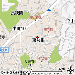 愛知県岡崎市中町東丸根113周辺の地図